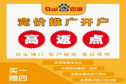 百度推广服务费案例：打造爆款产品营销策略